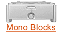 Mono amplifiers
